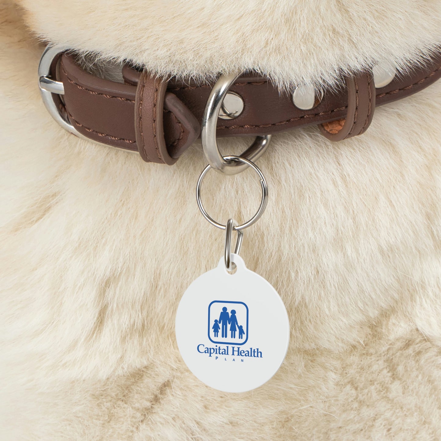 Pet Tag